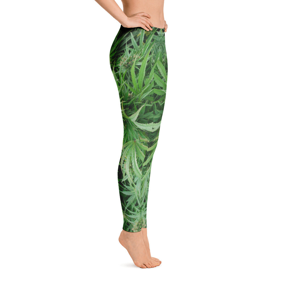 Canna Leggings3