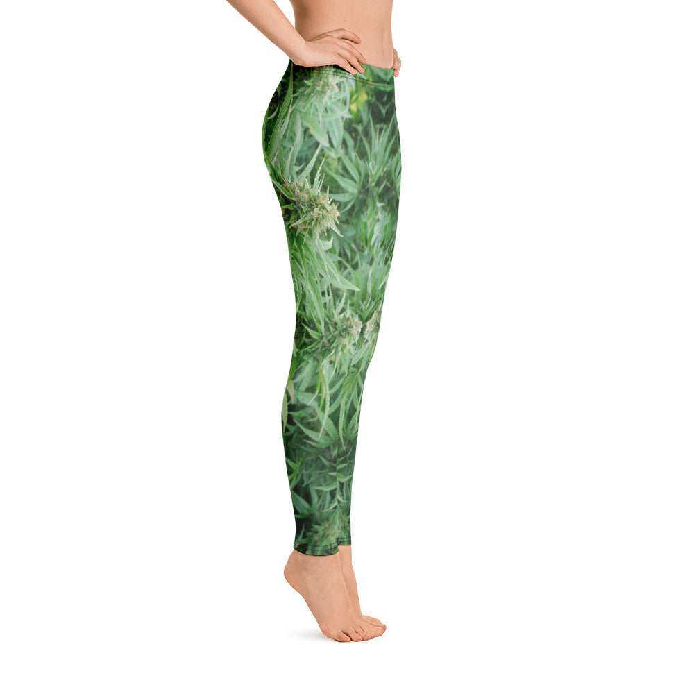 Canna Leggings