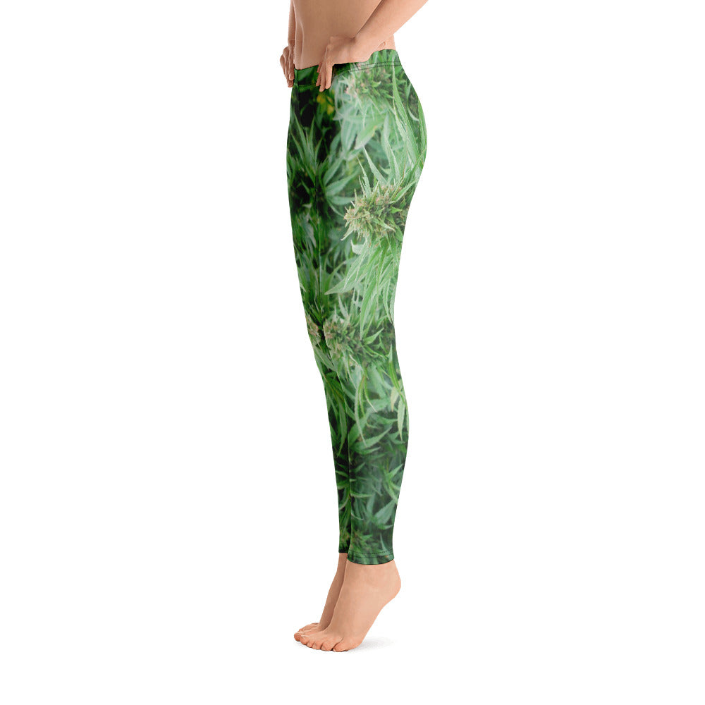 Canna Leggings